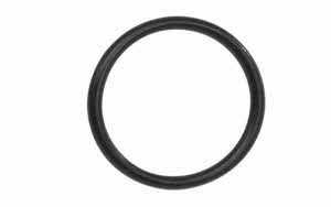 7659oo_20250805092219